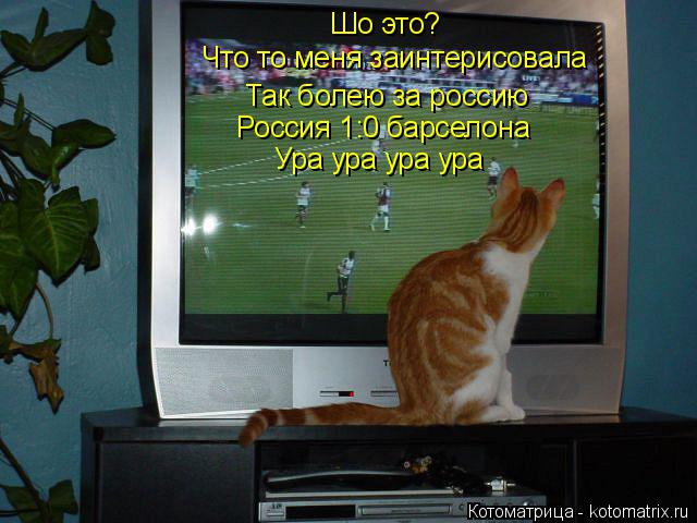 Котоматрица: Шо это? Что то меня заинтерисовала Так болею за россию Россия 1:0 барселона Ура ура ура ура