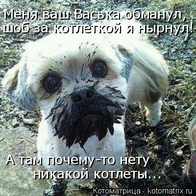 Котоматрица: Меня ваш Васька обманул, шоб за котлеткой я нырнул! А там почему-то нету никакой котлеты...