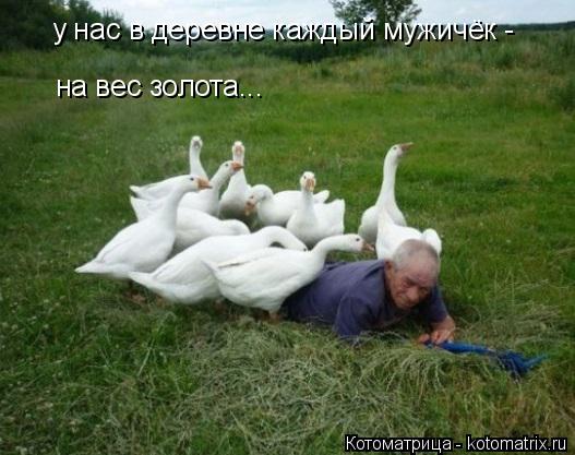 Котоматрица: у нас в деревне каждый мужичёк - на вес золота...