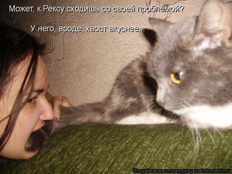 Может, к Рексу сходишь со своей проблемой? У него, вроде, хвост вкуснее...... Котоматрица: Может, к Рексу сходишь со своей проблемой? У него, вроде, хвост вкуснее...