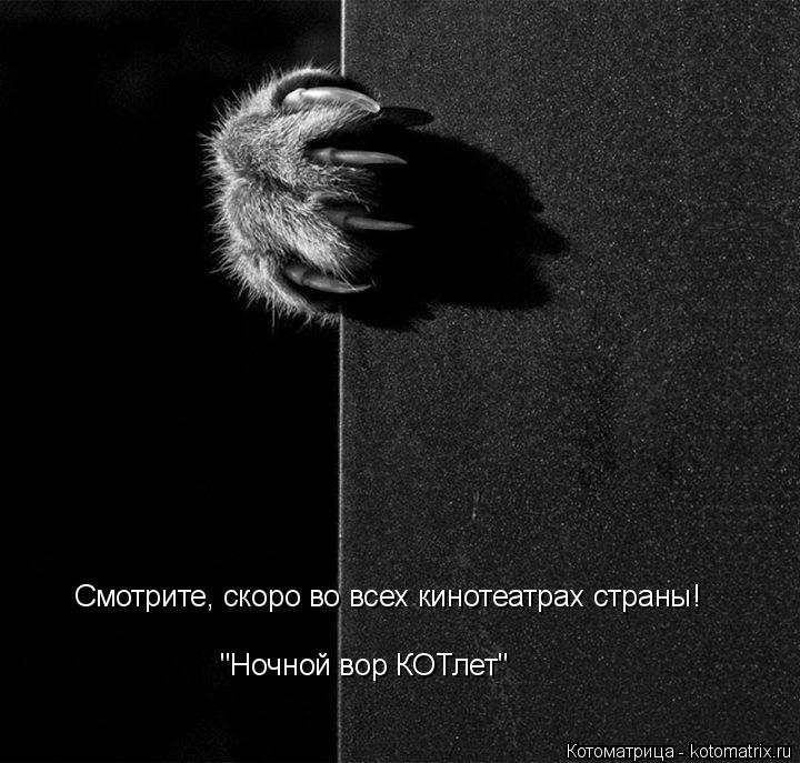 "Ночной вор КОТлет" Смотрите, скоро во всех кинотеатрах страны!... Котоматрица: "Ночной вор КОТлет" Смотрите, скоро во всех кинотеатрах страны!