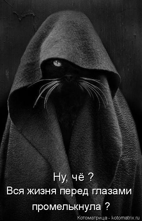 Ну, чё ? Вся жизня перед глазами промелькнула ?... Котоматрица: Ну, чё ? Вся жизня перед глазами промелькнула ?