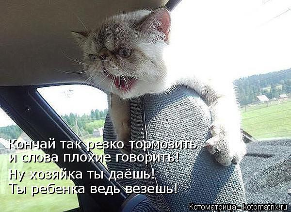 Котоматрица: Кончай так резко тормозить и слова плохие говорить! Ну хозяйка ты даёшь! Ты ребенка ведь везешь!
