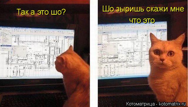 Котоматрица: Так а это шо? Шо зыришь скажи мне что это