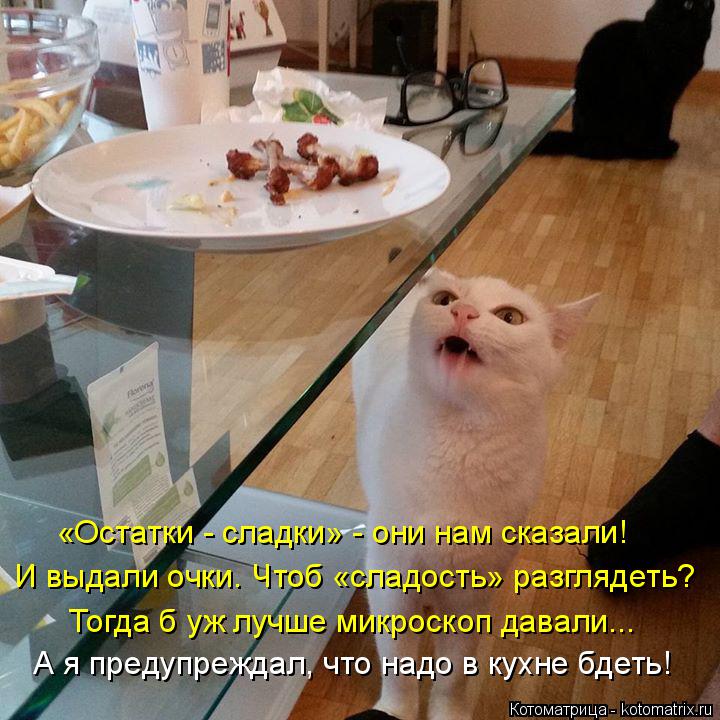 «Остатки - сладки» - они нам сказали! И выдали очки. Чтоб «сладость» разглядеть? Тогда б уж лучше мик... Котоматрица: «Остатки - сладки» - они нам сказали! И выдали очки. Чтоб «сладость» разглядеть? Тогда б уж лучше микроскоп давали... А я предупреждал, что над