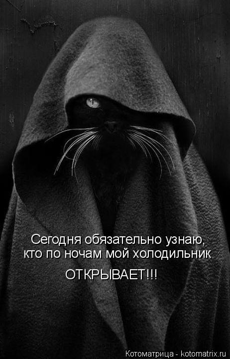 Котоматрица: Сегодня обязательно узнаю, кто по ночам мой холодильник ОТКРЫВАЕТ!!!