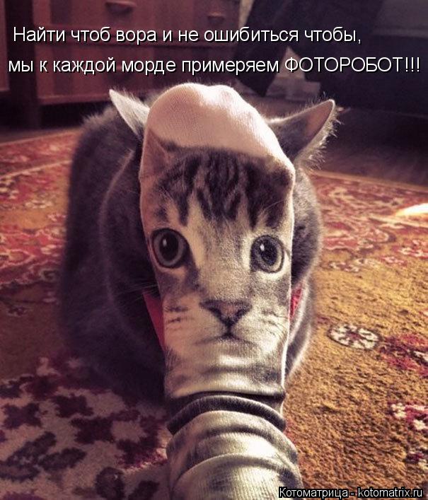 Котоматрица: Найти чтоб вора и не ошибиться чтобы, мы к каждой морде примеряем ФОТОРОБОТ!!!
