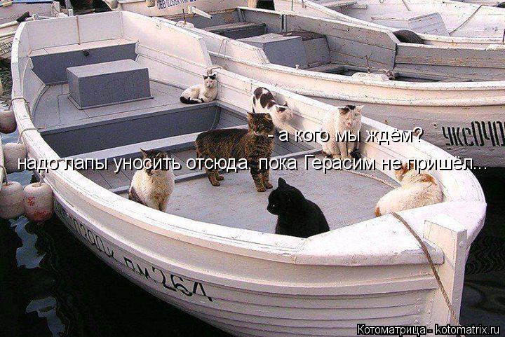 Котоматрица: - а кого мы ждём? надо лапы уносить отсюда, пока Герасим не пришёл...