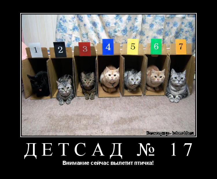 Котоматрица: ДЕТСАД № 17 Внимание сейчас вылетит птичка!