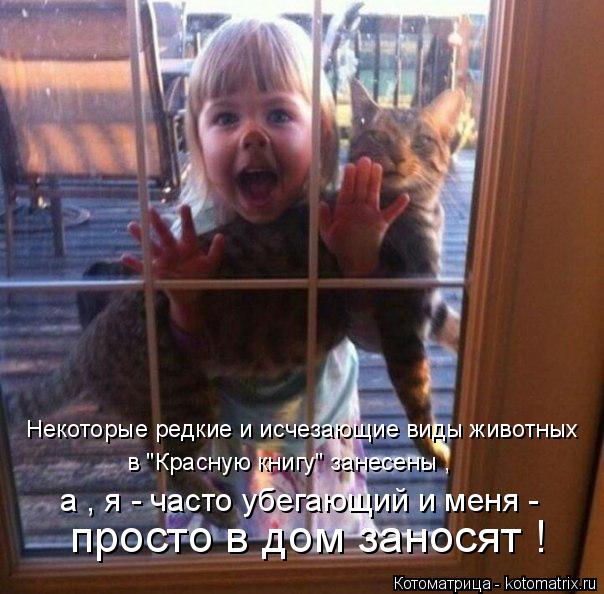 Котоматрица: Некоторые редкие и исчезающие виды животных в "Красную книгу" занесены , просто в дом заносят ! а , я - часто убегающий и меня -