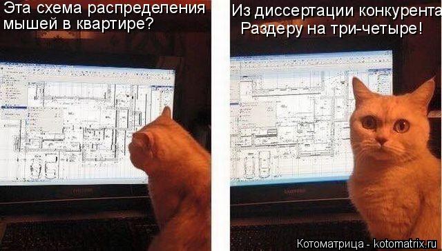 Эта схема распределения мышей в квартире? Раздеру на три-четыре! Из диссертации конкурента?... Котоматрица: Эта схема распределения мышей в квартире? Раздеру на три-четыре! Из диссертации конкурента?