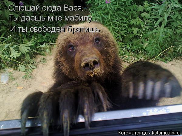 Котоматрица: Слюшай сюда Вася... Ты даешь мне мабилу... И ты свободен братишь