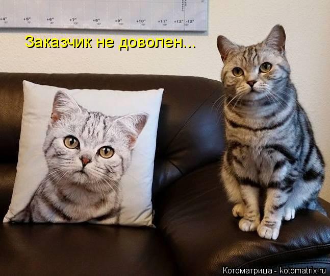 Заказчик не доволен...... Котоматрица: Заказчик не доволен...