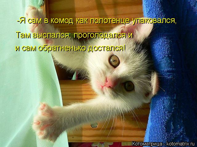 -Я сам в комод как полотенце упаковался, Там выспался, проголодался и и сам обратненько достался!... Котоматрица: -Я сам в комод как полотенце упаковался, Там выспался, проголодался и и сам обратненько достался!
