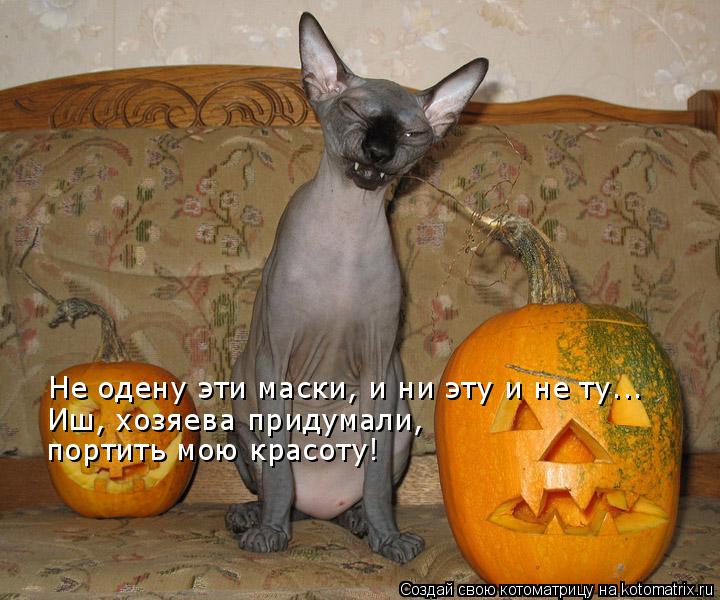 Котоматрица: Не одену эти маски, и ни эту и не ту... Иш, хозяева придумали,  портить мою красоту!