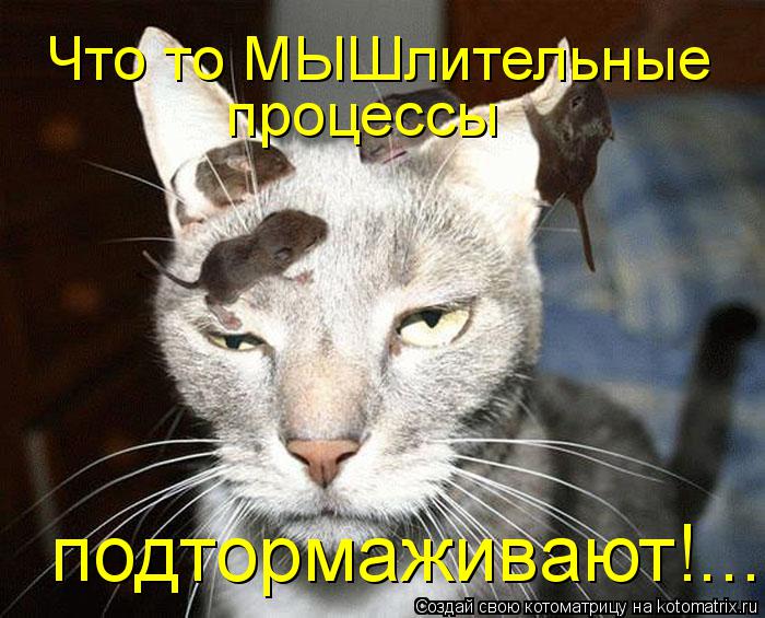 Что то МЫШлительные процессы подтормаживают!....... Котоматрица: Что то МЫШлительные процессы подтормаживают!....