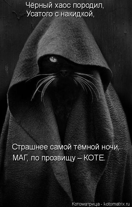 Котоматрица: Чёрный хаос породил, Усатого с накидкой, Страшнее самой тёмной ночи, МАГ, по прозвищу – КОТЕ.