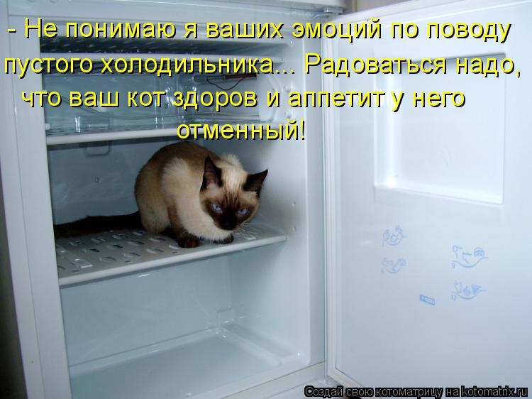 Котоматрица: - Не понимаю я ваших эмоций по поводу  пустого холодильника... Радоваться надо,  что ваш кот здоров и аппетит у него  отменный!