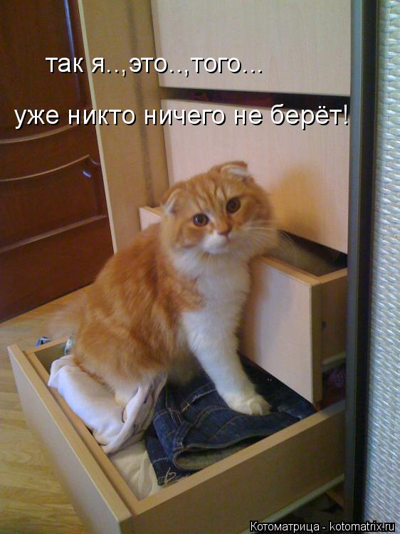 Котоматрица: так я..,это..,того... уже никто ничего не берёт!