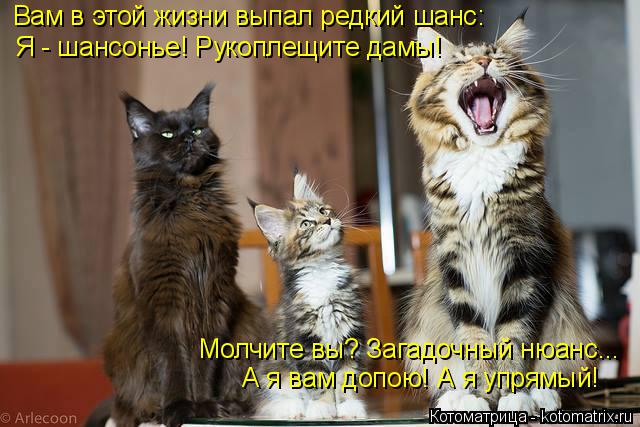 Вам в этой жизни выпал редкий шанс: Я - шансонье! Рукоплещите дамы! Молчите вы? Загадочный нюанс... А... Котоматрица: Вам в этой жизни выпал редкий шанс: Я - шансонье! Рукоплещите дамы! Молчите вы? Загадочный нюанс... А я вам допою! А я упрямый!