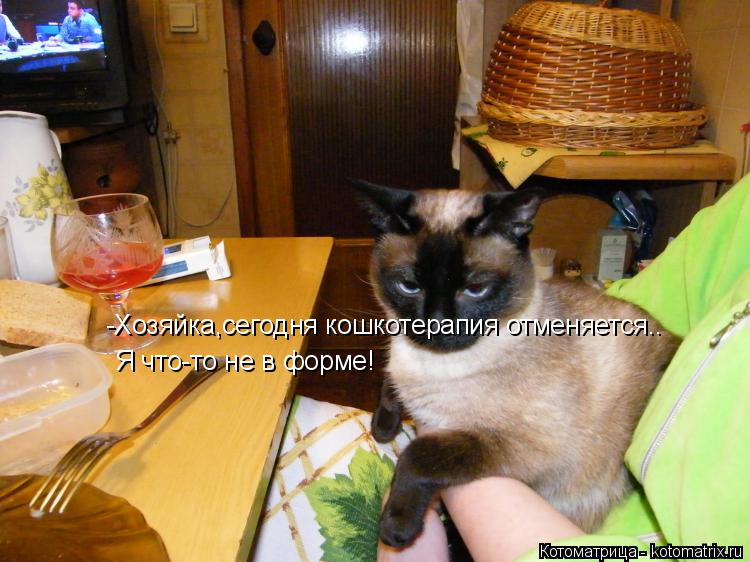 Котоматрица: -Хозяйка,сегодня кошкотерапия отменяется.. Я что-то не в форме!
