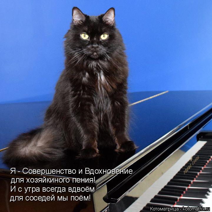 для хозяйкиного пения! Я - Совершенство и Вдохновение И с утра всегда вдвоём для соседей мы поём!... Котоматрица: для хозяйкиного пения! Я - Совершенство и Вдохновение И с утра всегда вдвоём для соседей мы поём!