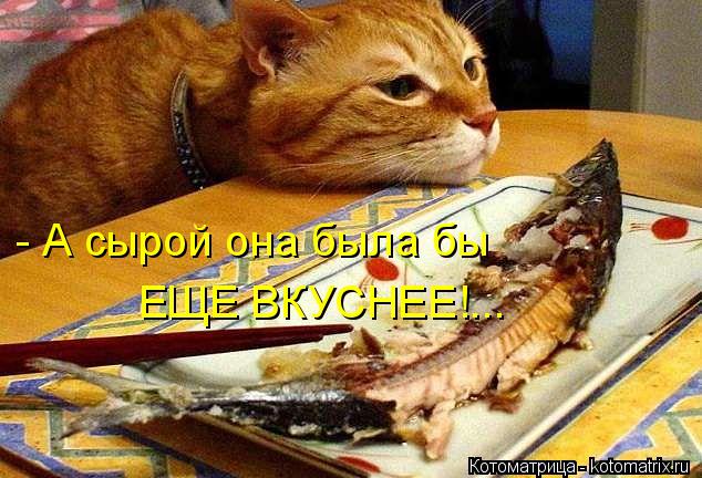 - А сырой она была бы ЕЩЕ ВКУСНЕЕ!...... Котоматрица: - А сырой она была бы ЕЩЕ ВКУСНЕЕ!...