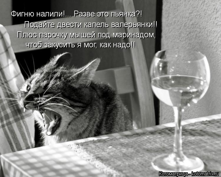 Фигню налили!... Разве это пьянка?! Подайте двести капель валерьянки!! Плюс парочку мышей под маринад... Котоматрица: Фигню налили!... Разве это пьянка?! Подайте двести капель валерьянки!! Плюс парочку мышей под маринадом, чтоб закусить я мог, как надо!!