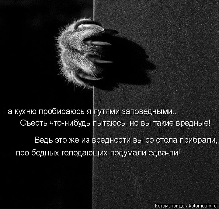 На кухню пробираюсь я путями заповедными... Съесть что-нибудь пытаюсь, но вы такие вредные! Ведь это ... Котоматрица: На кухню пробираюсь я путями заповедными... Съесть что-нибудь пытаюсь, но вы такие вредные! Ведь это же из вредности вы со стола прибрали, про