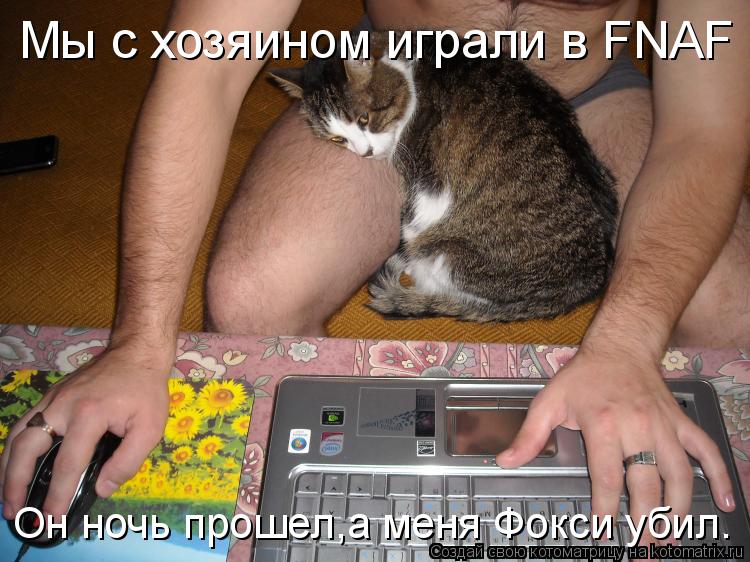 Котоматрица: Мы с хозяином играли в FNAF Он ночь прошел,а меня Фокси убил.