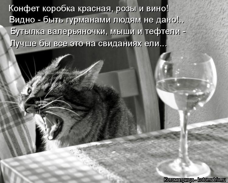 Конфет коробка красная, розы и вино! Видно - быть гурманами людям не дано!.. Бутылка валерьяночки, мы... Котоматрица: Конфет коробка красная, розы и вино! Видно - быть гурманами людям не дано!.. Бутылка валерьяночки, мыши и тефтели - Лучше бы все это на свидани