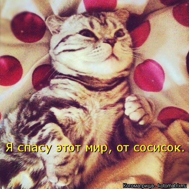 Я спасу этот мир, от сосисок. Я спасу этот мир, от сосисок. Я спасу этот мир, от сосисок. Я спасу это... Котоматрица: Я спасу этот мир, от сосисок. Я спасу этот мир, от сосисок. Я спасу этот мир, от сосисок. Я спасу этот мир, от сосисок.