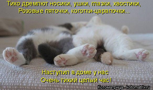 Тихо дремлют носики, ушки, глазки, хвостики, Розовые пяточки, коготки-царапочки... Наступил в доме у ... Котоматрица: Тихо дремлют носики, ушки, глазки, хвостики, Розовые пяточки, коготки-царапочки... Наступил в доме у нас Очень тихий целый час!