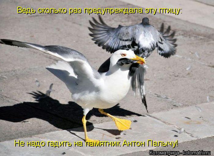 Котоматрица: Ведь сколько раз предупреждала эту птицу: Не надо гадить на памятник Антон Палычу!