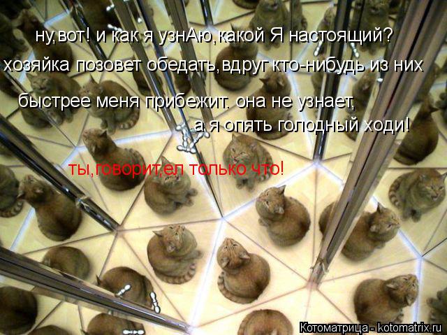 ну,вот! и как я узнАю,какой Я настоящий? хозяйка позовет обедать,вдруг кто-нибудь из них быстрее мен... Котоматрица: ну,вот! и как я узнАю,какой Я настоящий? хозяйка позовет обедать,вдруг кто-нибудь из них быстрее меня прибежит. она не узнает, а я опять голод