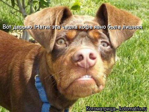 Котоматрица: Вот дерьмо !Натик эта чашка кофе явно была лишняя