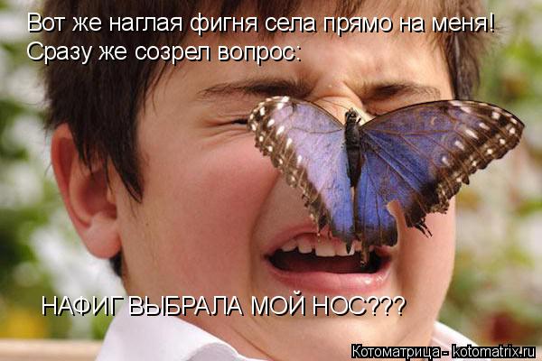 Вот же наглая фигня села прямо на меня! Сразу же созрел вопрос: НАФИГ ВЫБРАЛА МОЙ НОС???... Котоматрица: Вот же наглая фигня села прямо на меня! Сразу же созрел вопрос: НАФИГ ВЫБРАЛА МОЙ НОС???