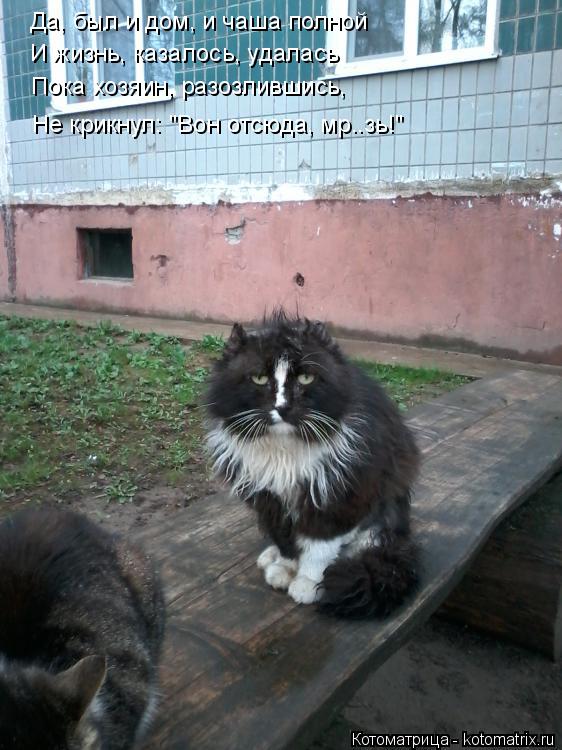 Да, был и дом, и чаша полной И жизнь, казалось, удалась Пока хозяин, разозлившись, Не крикнул: "Вон о... Котоматрица: Да, был и дом, и чаша полной И жизнь, казалось, удалась Пока хозяин, разозлившись, Не крикнул: "Вон отсюда, мр..зь!"