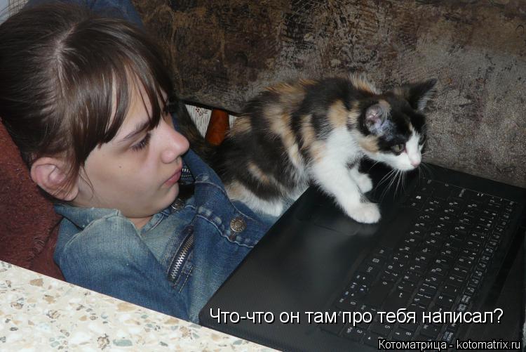 Котоматрица: Что-что он там про тебя написал?