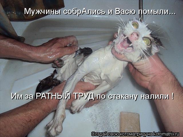 Мужчины собрАлись и Васю помыли... Им за РАТНЫЙ ТРУД по стакану налили !... Котоматрица: Мужчины собрАлись и Васю помыли... Им за РАТНЫЙ ТРУД по стакану налили !