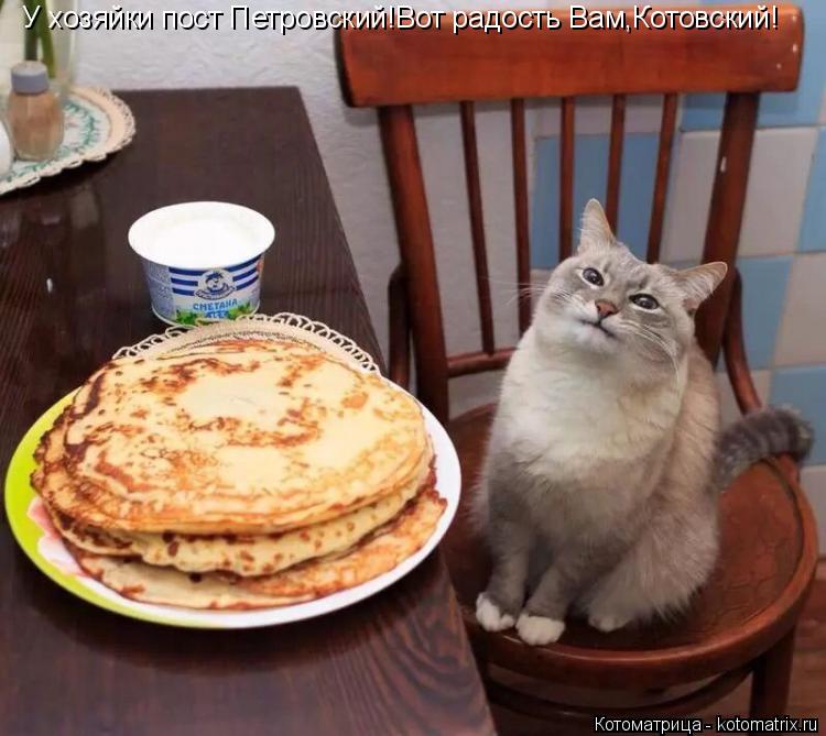 У хозяйки пост Петровский!Вот радость Вам,Котовский!... Котоматрица: У хозяйки пост Петровский!Вот радость Вам,Котовский!