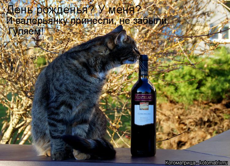 День рожденья? У меня? И валерьянку принесли, не забыли. Гуляем!... Котоматрица: День рожденья? У меня? И валерьянку принесли, не забыли. Гуляем!