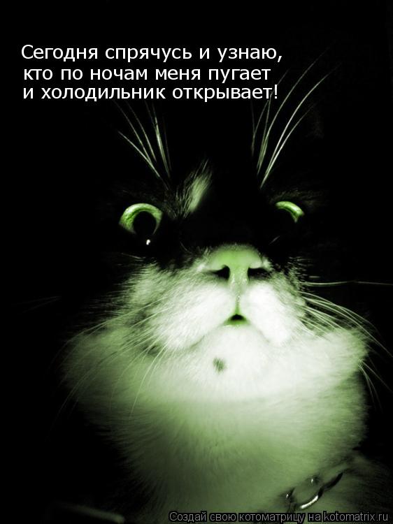 Котоматрица: Сегодня спрячусь и узнаю,  кто по ночам меня пугает и холодильник открывает!