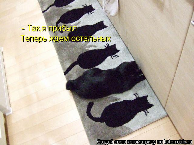Так,я прибыл - Теперь ждем остальных... Котоматрица: Так,я прибыл - Теперь ждем остальных