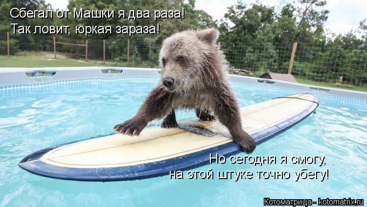 Сбегал от Машки я два раза! Так ловит, юркая зараза! Но сегодня я смогу, на этой штуке точно убегу!... Котоматрица: Сбегал от Машки я два раза! Так ловит, юркая зараза! Но сегодня я смогу, на этой штуке точно убегу!