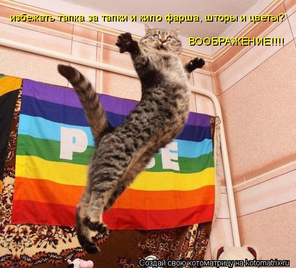 избежать тапка за тапки и кило фарша, шторы и цветы? ВООБРАЖЕНИЕ!!!!... Котоматрица: избежать тапка за тапки и кило фарша, шторы и цветы? ВООБРАЖЕНИЕ!!!!