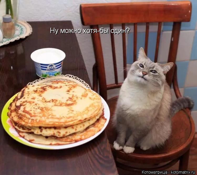 Котоматрица: Ну можно хотя-бы один?