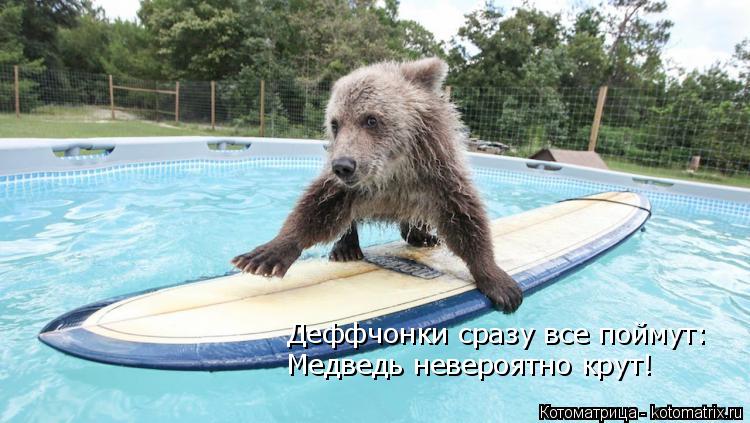 Деффчонки сразу все поймут: Медведь невероятно крут!... Котоматрица: Деффчонки сразу все поймут: Медведь невероятно крут!