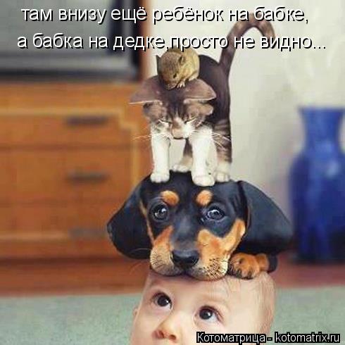 Котоматрица: там внизу ещё ребёнок на бабке, а бабка на дедке,просто не видно...