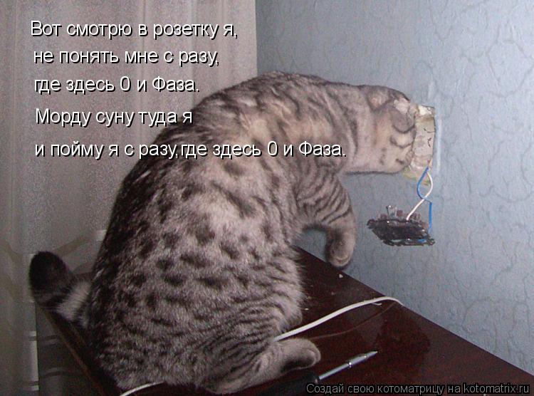 Вот смотрю в розетку я, не понять мне с разу, где здесь 0 и Фаза. Морду суну туда я и пойму я с разу,... Котоматрица: Вот смотрю в розетку я, не понять мне с разу, где здесь 0 и Фаза. Морду суну туда я и пойму я с разу,где здесь 0 и Фаза.